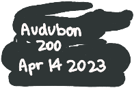 Audubon Zoo Back